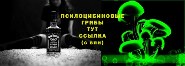PSILOCYBIN Алзамай