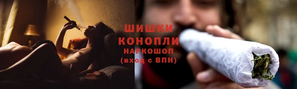 PSILOCYBIN Алзамай