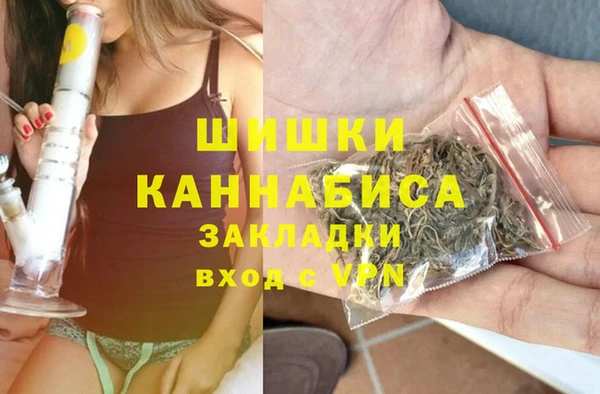 PSILOCYBIN Алзамай