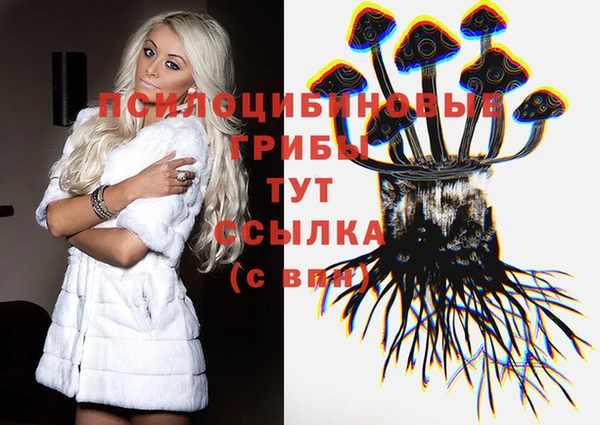 кокаин Алексин