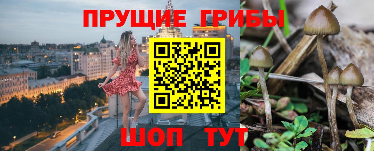 Псилоцибиновые грибы ЛСД Мичуринск