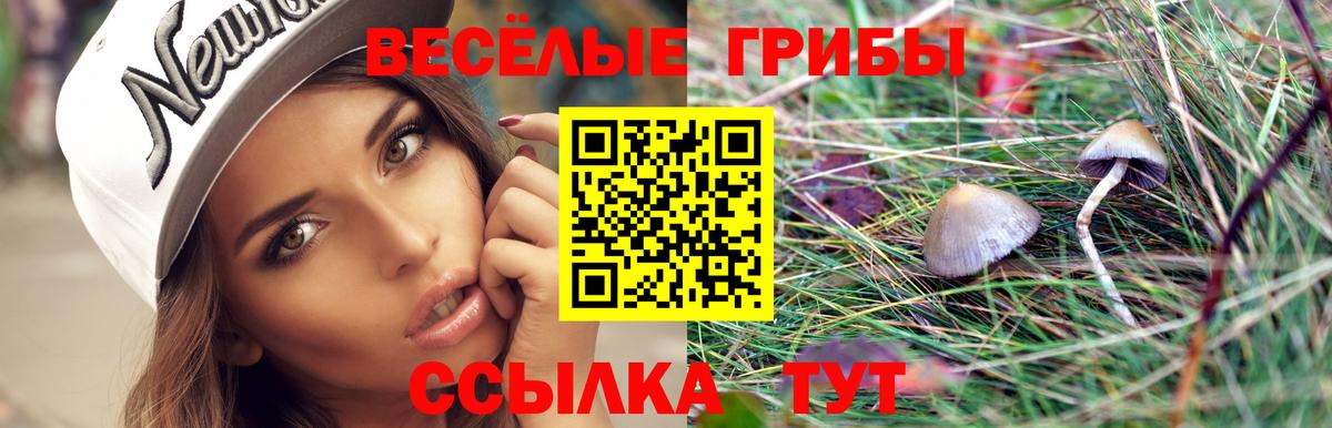 где купить наркоту  Вход с VPN  Мичуринск  Псилоцибиновые грибы мицелий 