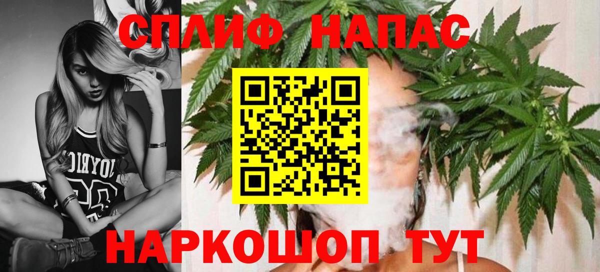 Бошки марихуана сатива  Марихуана сатива  МАРИХУАНА ГИДРОПОН  Мичуринск  Вход с VPN  Бошки Шишки семена 